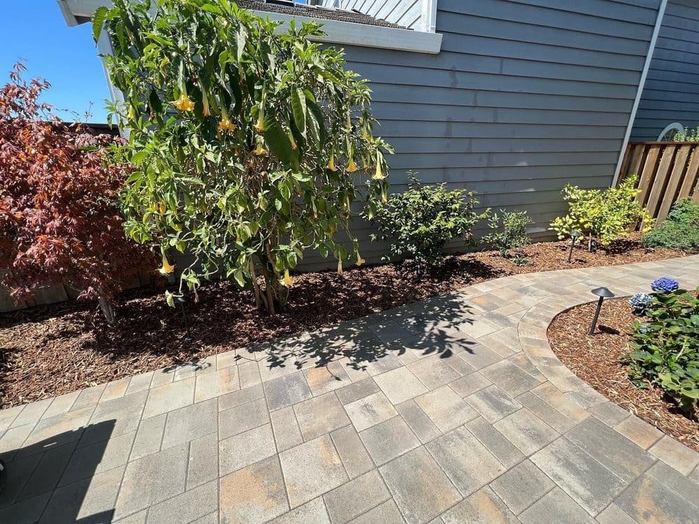 Paver walkway