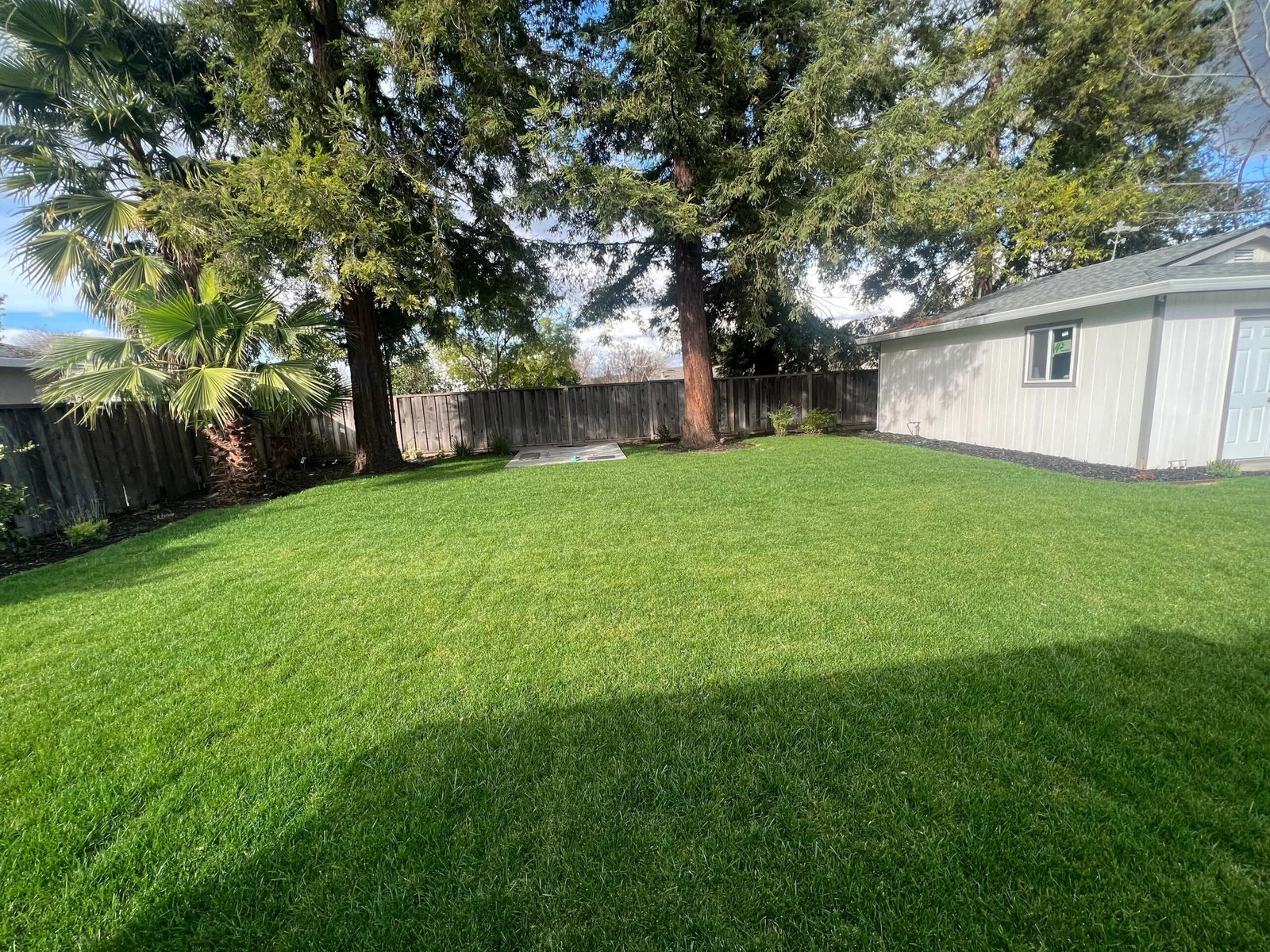 Existing Lawn Removal